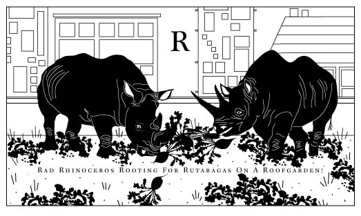 rhinoceros