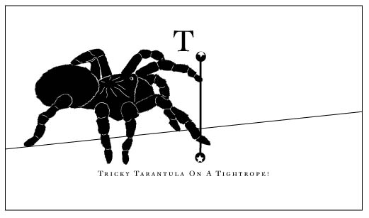 tarantula